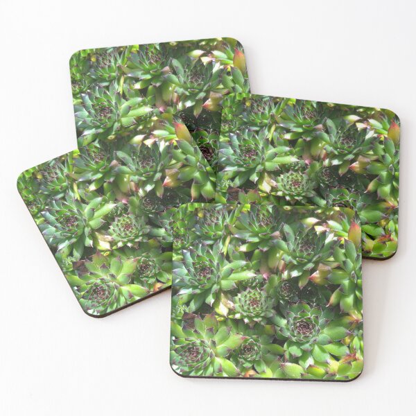 Item preview, Succulent splendour  green bloom designed and sold by LifeSimpliCity.