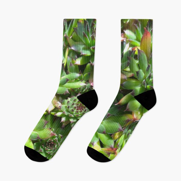 Item preview, Succulent splendour  green bloom designed and sold by LifeSimpliCity.