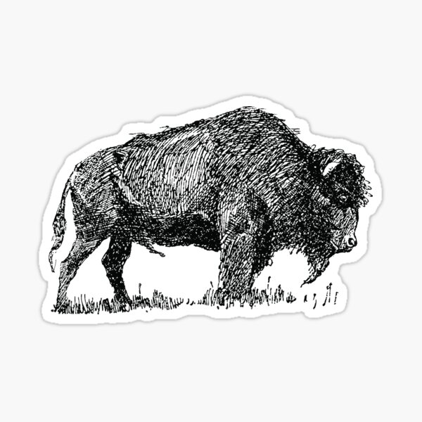 Item preview, Buffalo Bison Familly Sketch designed and sold by makari.