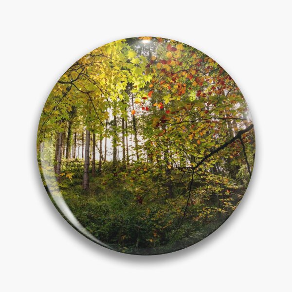 Item preview, Autumn morning colors in an Irish forest designed and sold by AlbertMi.