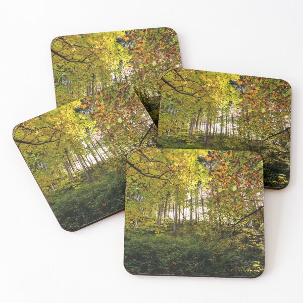 Item preview, Autumn morning colors in an Irish forest designed and sold by AlbertMi.