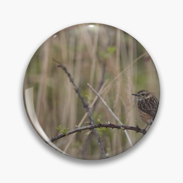 Item preview, Stonechat sobre zarzas designed and sold by frogs123.