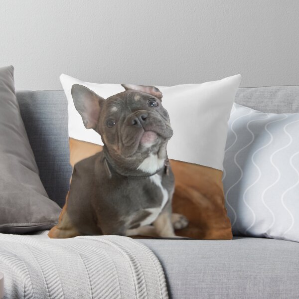 French bulldog pillows sale