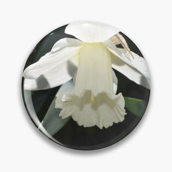 Item preview, One White Daffodil Sympathy Card designed and sold by Kathleen Brant.