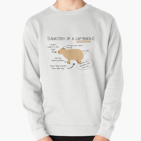 Item preview, Anatomy of a capybara designed and sold by sunnySaraV.