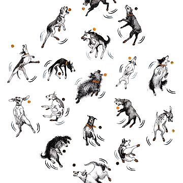 Artwork thumbnail, Dogs bad at catching balls by Chabdpointcom