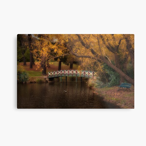Lake Daylesford, Victoria Metal Print