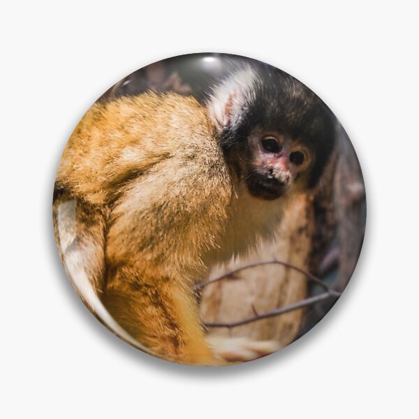 Item preview, Capuchin on a tree designed and sold by Photostacia.