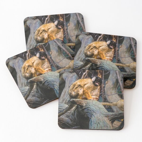 Item preview, Capuchin on a tree designed and sold by Photostacia.
