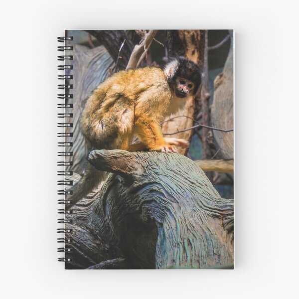Item preview, Capuchin on a tree designed and sold by Photostacia.
