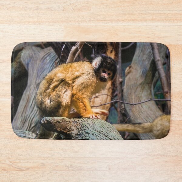 Item preview, Capuchin on a tree designed and sold by Photostacia.