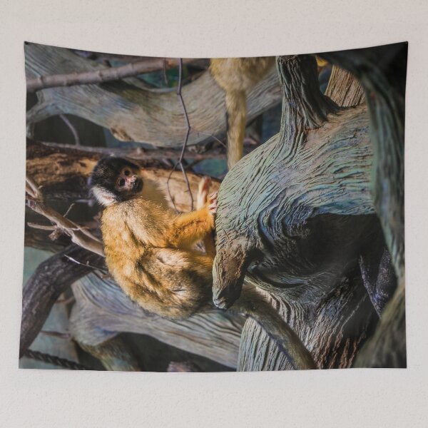 Item preview, Capuchin on a tree designed and sold by Photostacia.