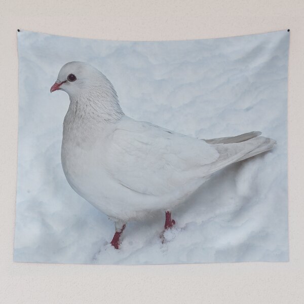 Item preview, White dove on snow designed and sold by Photostacia.