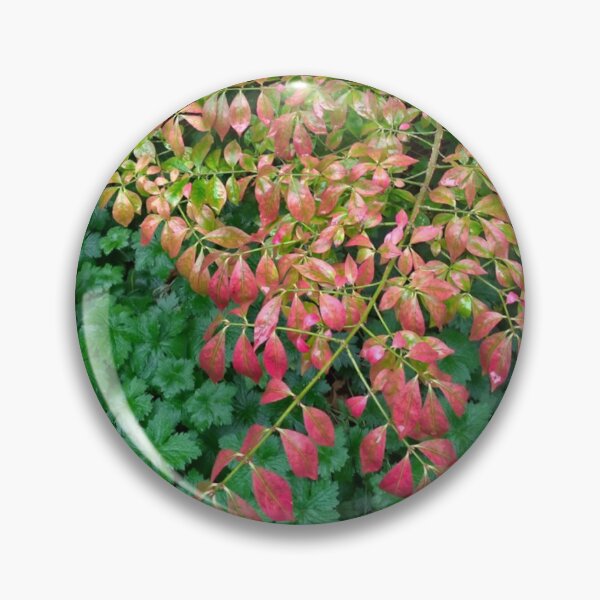 Item preview, Green Spring Tree - red leaves designed and sold by LifeSimpliCity.