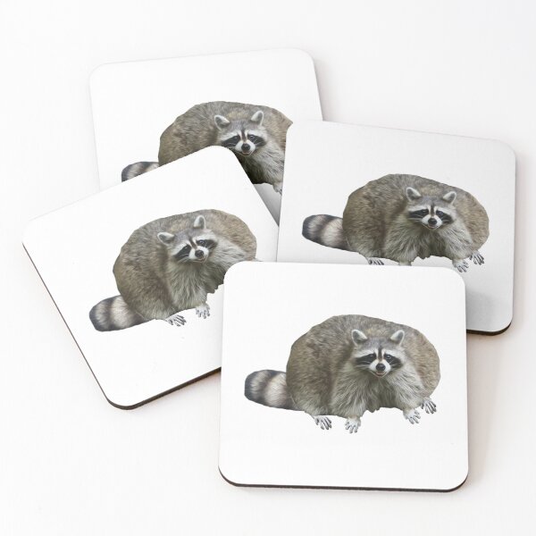 Item preview, Trash Panda designed and sold by Loookun Good.