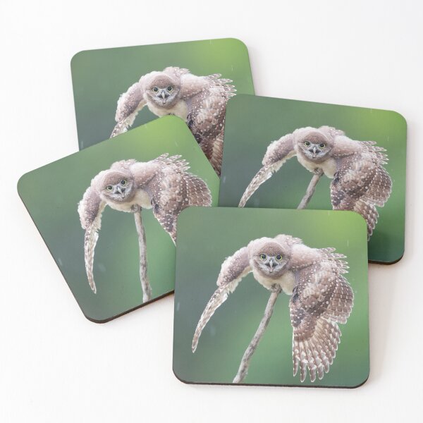 Item preview, Burrowing Owlet Rain Dance designed and sold by mlorenz.