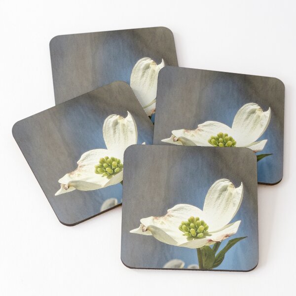 Item preview, White Dogwood Bloom designed and sold by Frankie Cat Photography.