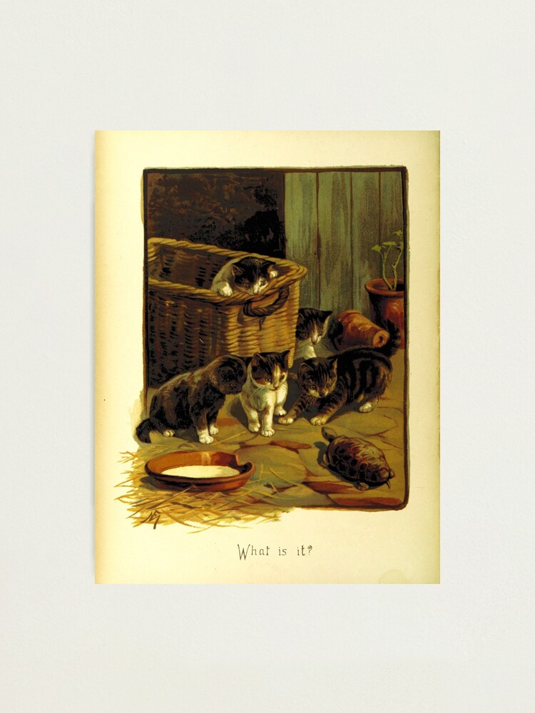 "Victorian Cat Meme" Photographic Print for Sale by TheRagingArden Redbubble
