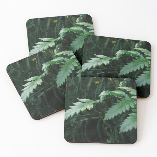 Item preview, Green Fern Frond designed and sold by homotropic.