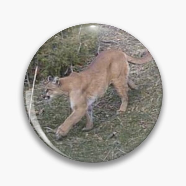 Item preview, Mountain Lion designed and sold by Backyardtrail.