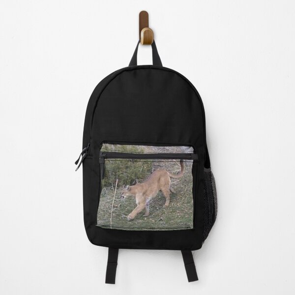 Item preview, Mountain Lion designed and sold by Backyardtrail.