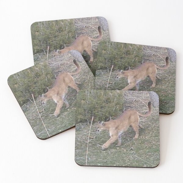 Item preview, Mountain Lion designed and sold by Backyardtrail.