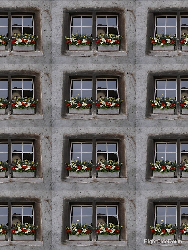 Thumbnail 3 of 3, Scarf, Window boxes designed and sold by RightSideDown.