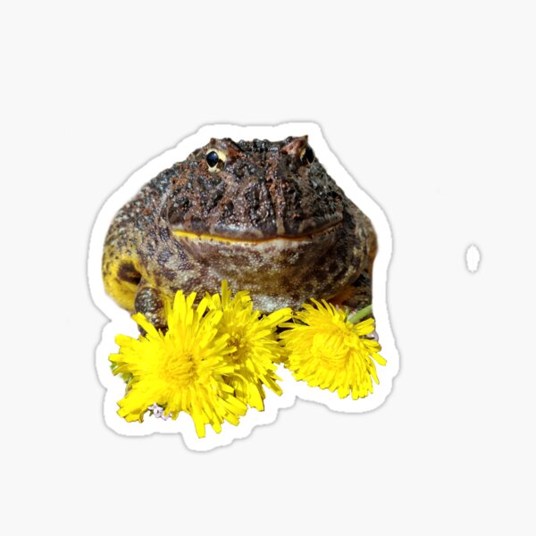 Item preview, Flower frog designed and sold by LimetheFrog.
