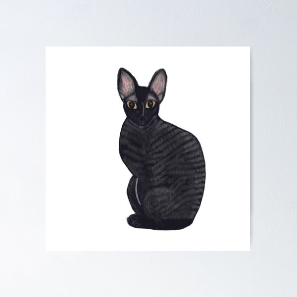 Item preview, Cornish Rex Cat Black designed and sold by Birgit Dugan.