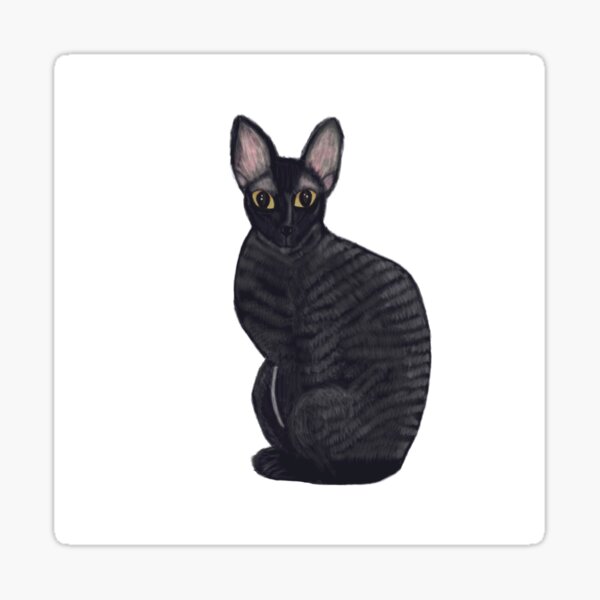 Cornish Rex Cat Black Sticker