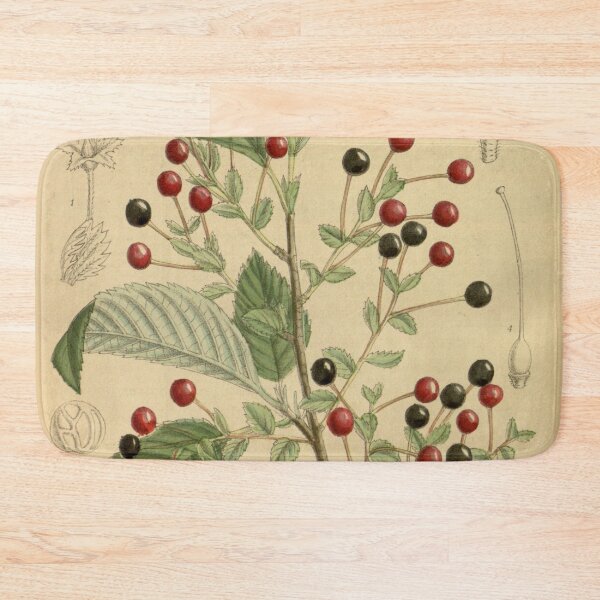 Item preview, Prunus maximowiczii 141 8641 designed and sold by EsotericBotanic.