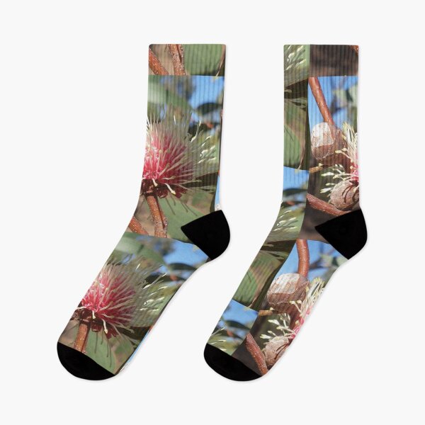 Item preview, Hakea Laurina - Pin Cushion flower in Western Australia designed and sold by FunkyTowns.