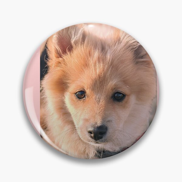 Item preview,  Pomeranian puppy Kai designed and sold by Fluffycat2020.