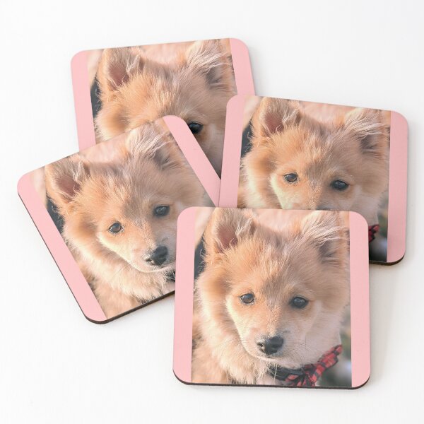 Item preview,  Pomeranian puppy Kai designed and sold by Fluffycat2020.