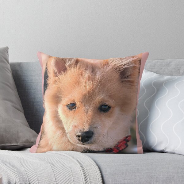 Item preview,  Pomeranian puppy Kai designed and sold by Fluffycat2020.