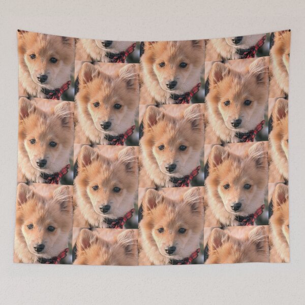 Item preview,  Pomeranian puppy Kai designed and sold by Fluffycat2020.