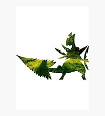 Mega Sceptile used Leaf Storm Photographic Print