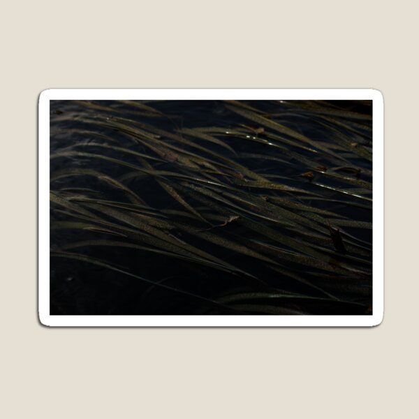Item preview, Algas marinas altas designed and sold by PayoLens.