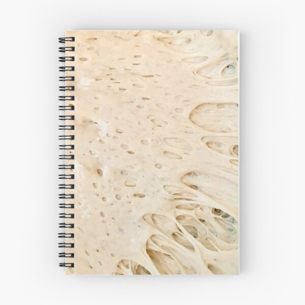 Item preview, sourdough starter designed and sold by Leila  Campos-Moya.
