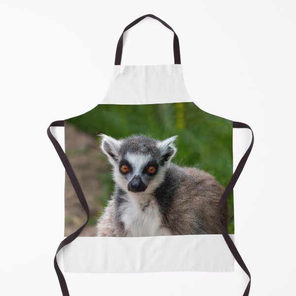 Artikelvorschau, Lemur entworfen und verkauft von pietrofoto.