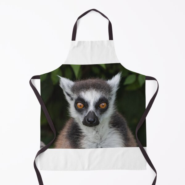 Item preview, Lemur staring designed and sold by pietrofoto.