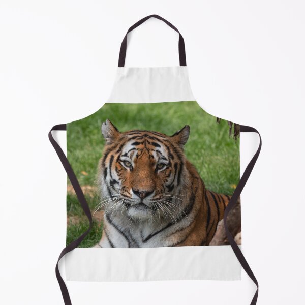 Item preview, Tiger closeup designed and sold by pietrofoto.