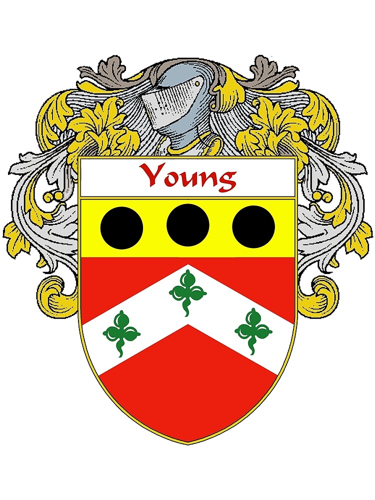 "Young Coat of Arms / Young Family Crest" by William ...