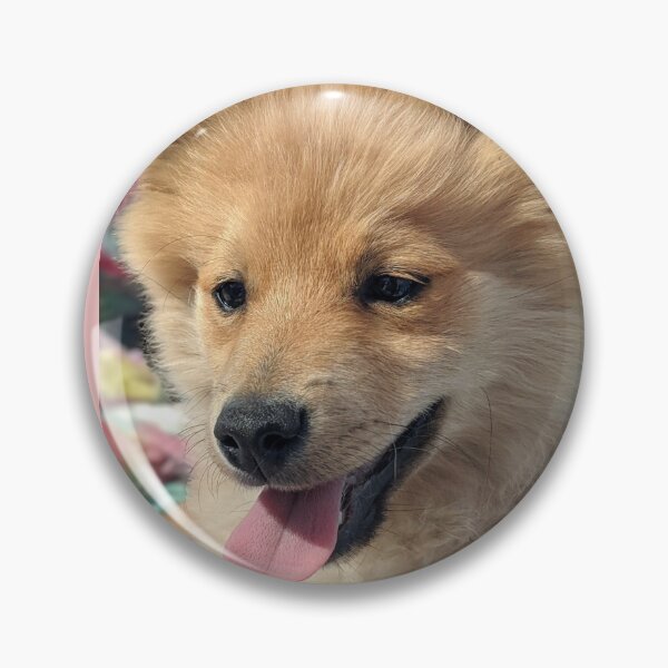 Item preview,  Pomeranian puppy Kai designed and sold by Fluffycat2020.