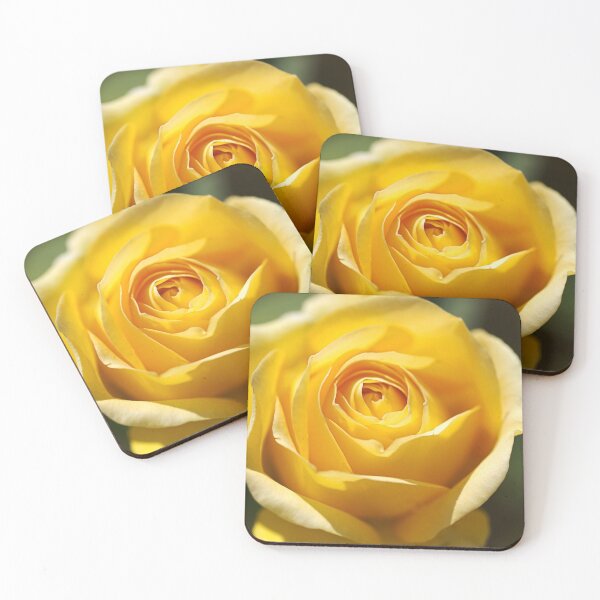 Item preview, Golden Bunny Rose Opened designed and sold by Joy Watson - Natural Light Photography .