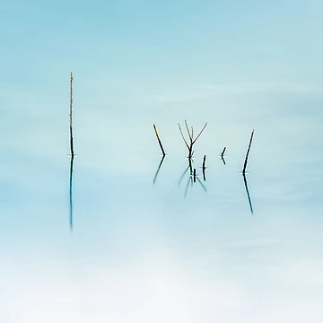Artwork thumbnail, Twigs by Ralph Goldsmith