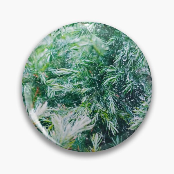 Item preview, A firtree covered with drops after the rain hanging down on the spider's web, natural background  designed and sold by helenkaiy.