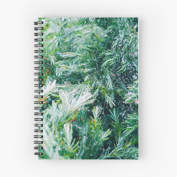 Item preview, A firtree covered with drops after the rain hanging down on the spider's web, natural background  designed and sold by helenkaiy.