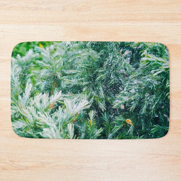 Item preview, A firtree covered with drops after the rain hanging down on the spider's web, natural background designed and sold by helenkaiy.