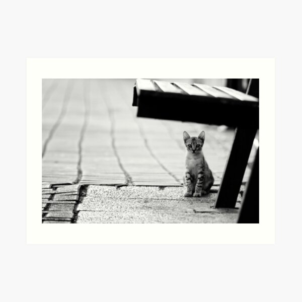 safe place Art Print